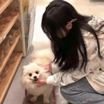 三国x三国手游下载